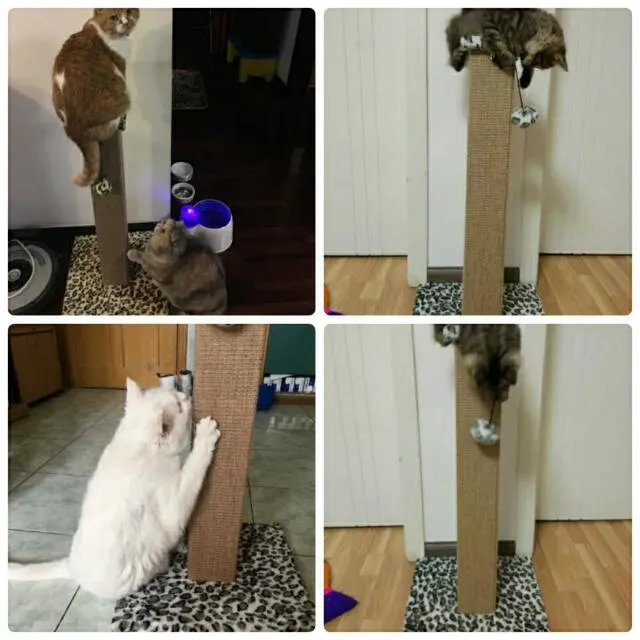80cm Sisal Mat Scratching Post