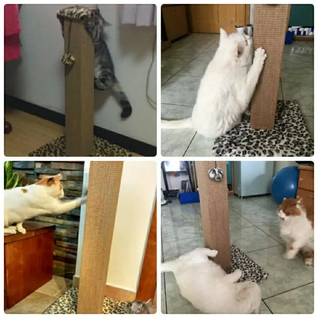 80cm Sisal Mat Scratching Post