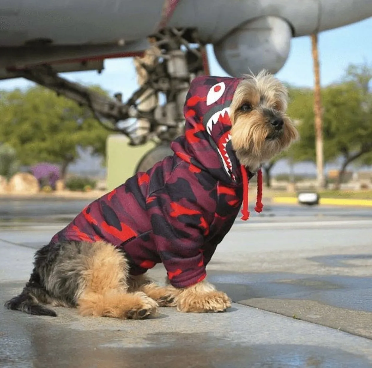 A Barking Pup Red Camo Hoodie