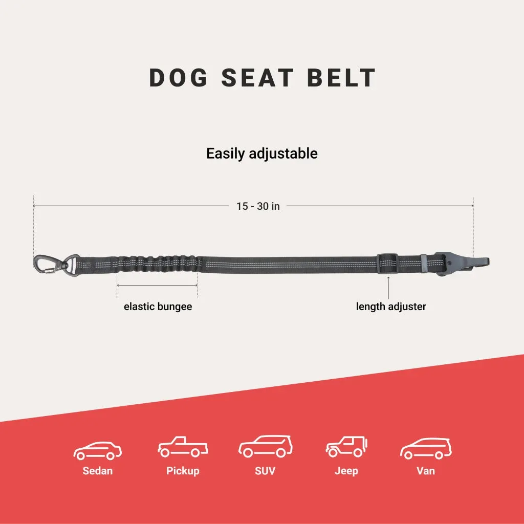 Adjustable Dog Car Seat Belt – Extra Safe & Anti-Shock by  Owleys