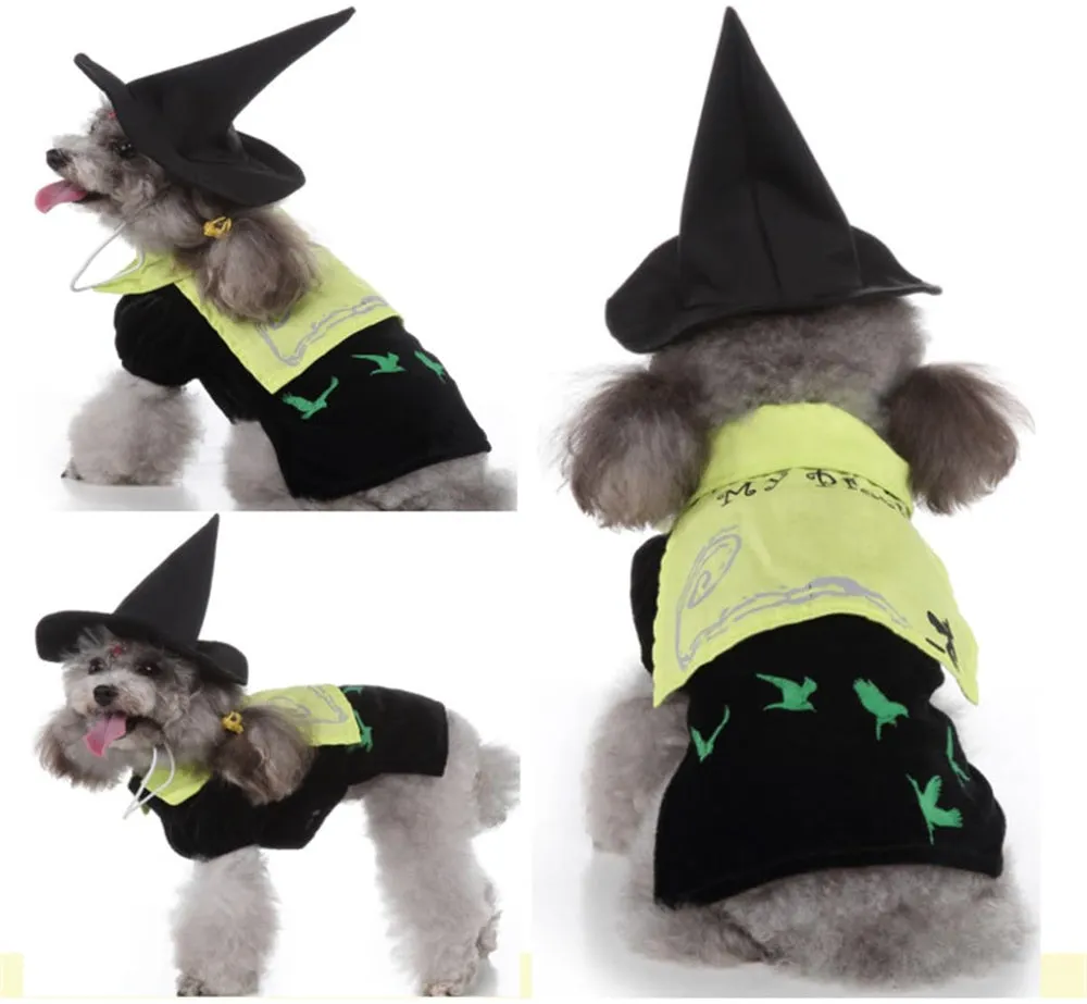 Aiilte Black Green Dog Halloween Witch Wizard Hat Costume Set