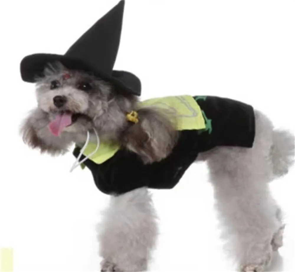 Aiilte Black Green Dog Halloween Witch Wizard Hat Costume Set