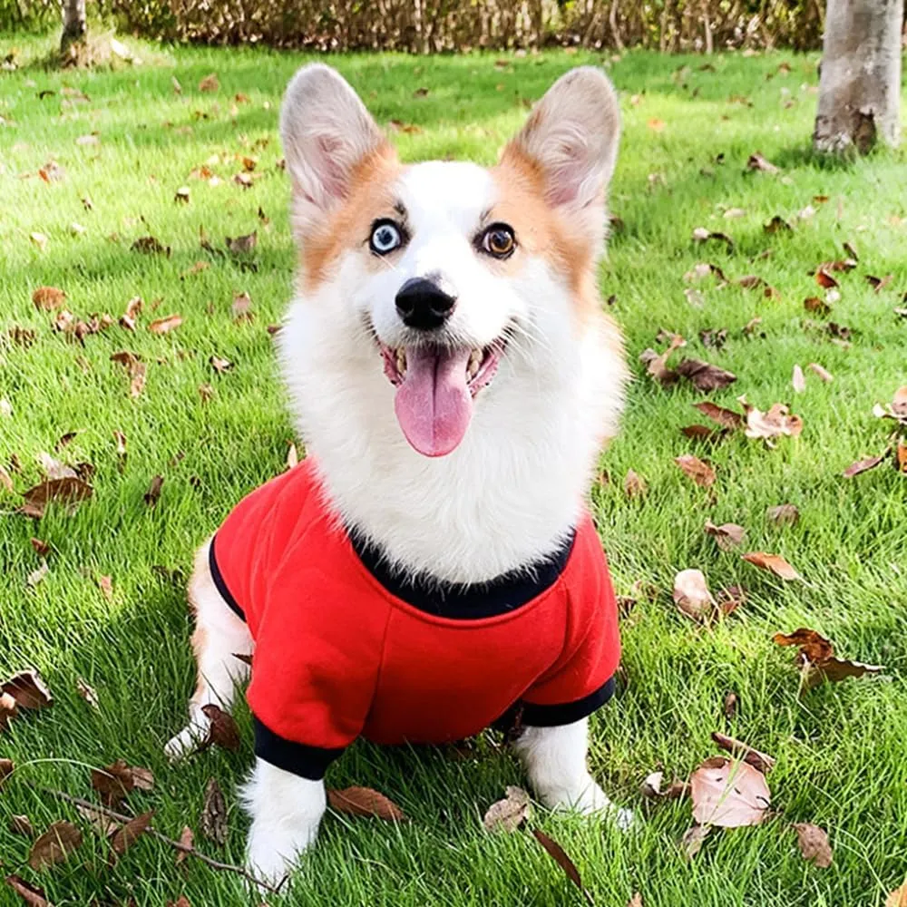 ANIAC Fall Dog Sweater for Small Dogs - Fleece Sweatshirt with Sleeves, Warm Cat Sweater - Red, Large (2-44 LB)