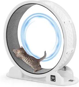 Cat Exercise Wheel with Pedometer, 10 Minutes Fast and Easy Installation, 41 Large Cat Wheel Treadmill Running Fitness Workout Wheels for Indoor Cats