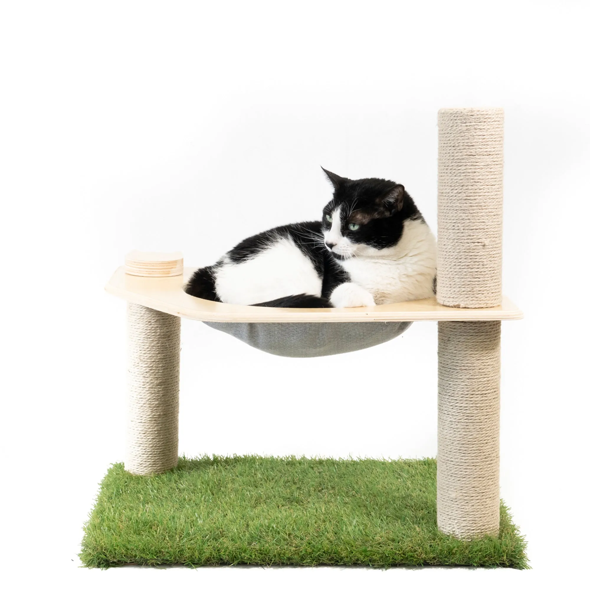 Cat Hammock