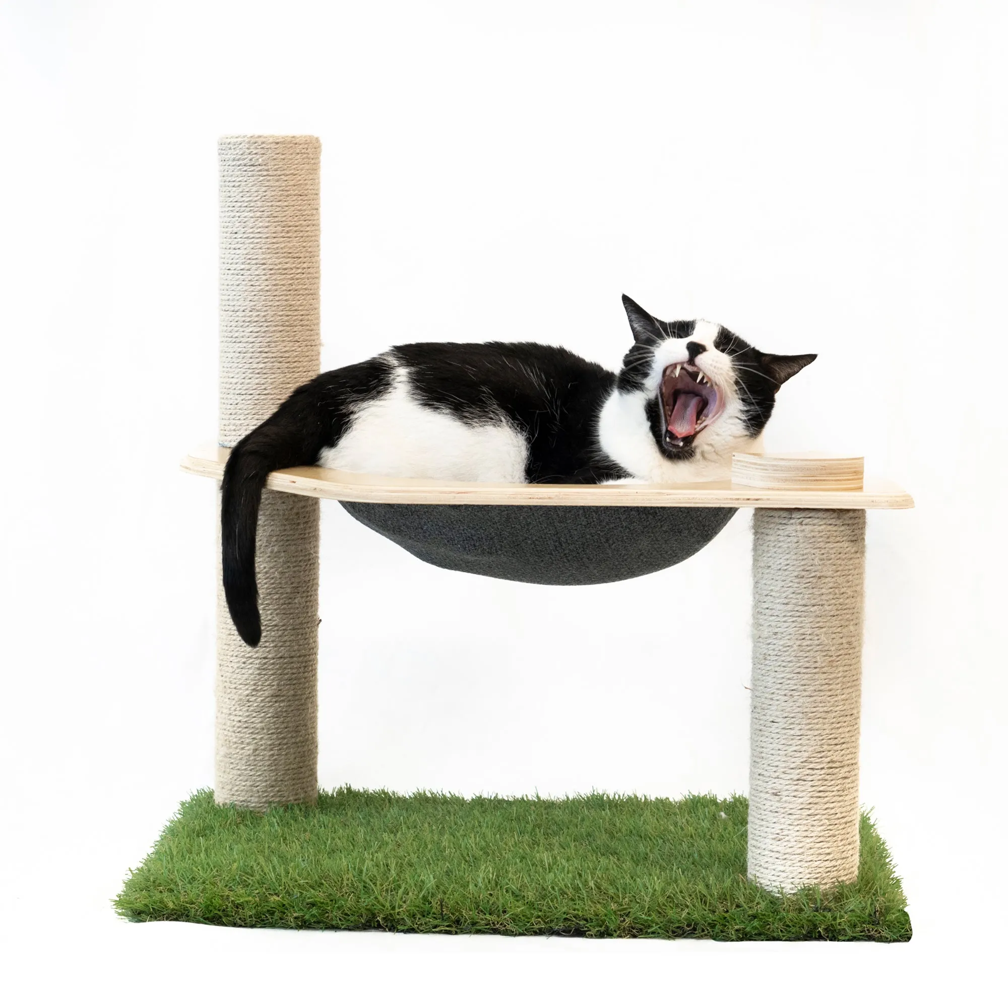 Cat Hammock