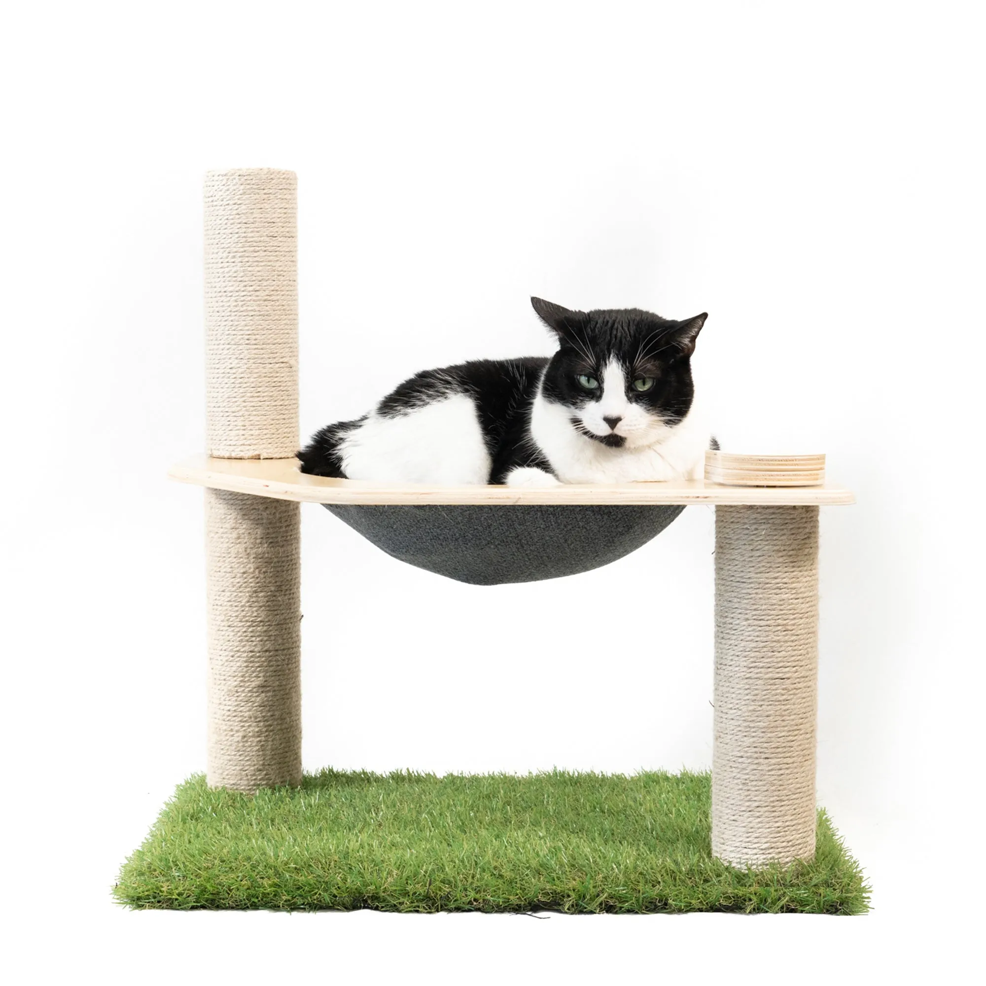 Cat Hammock