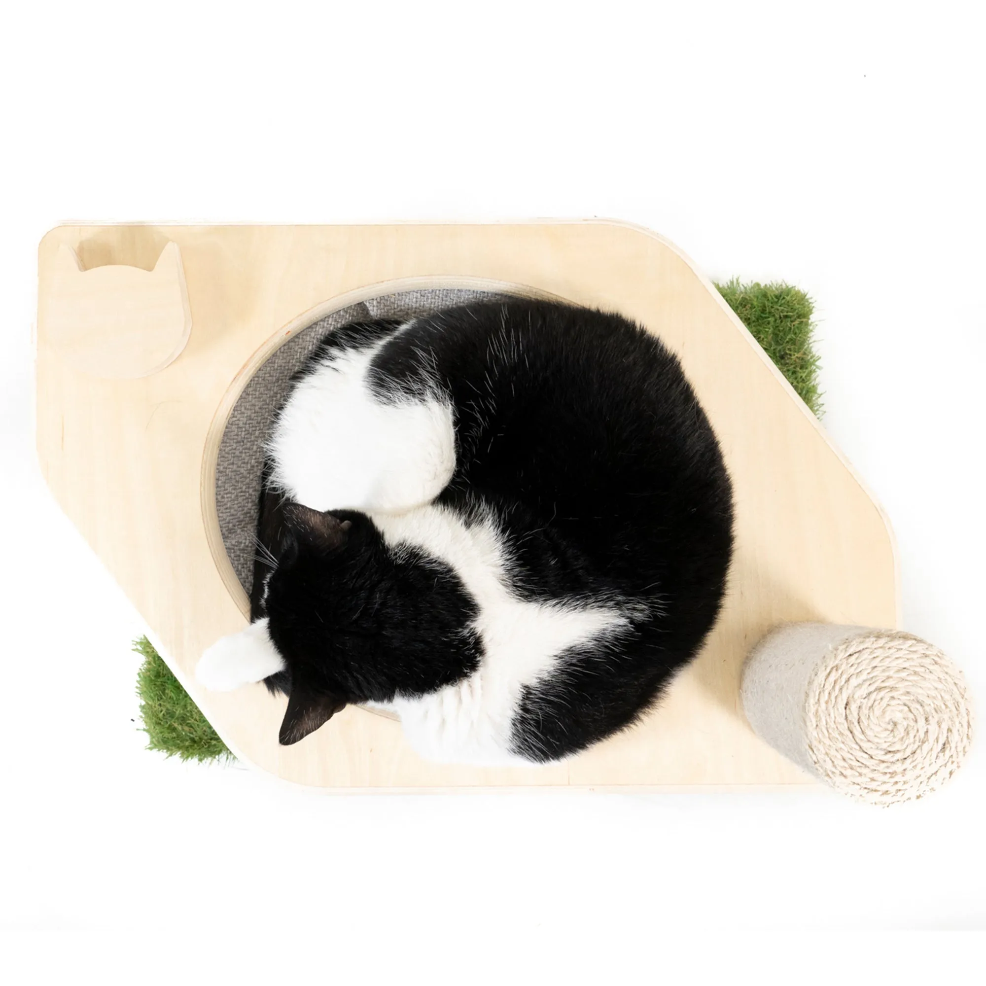 Cat Hammock