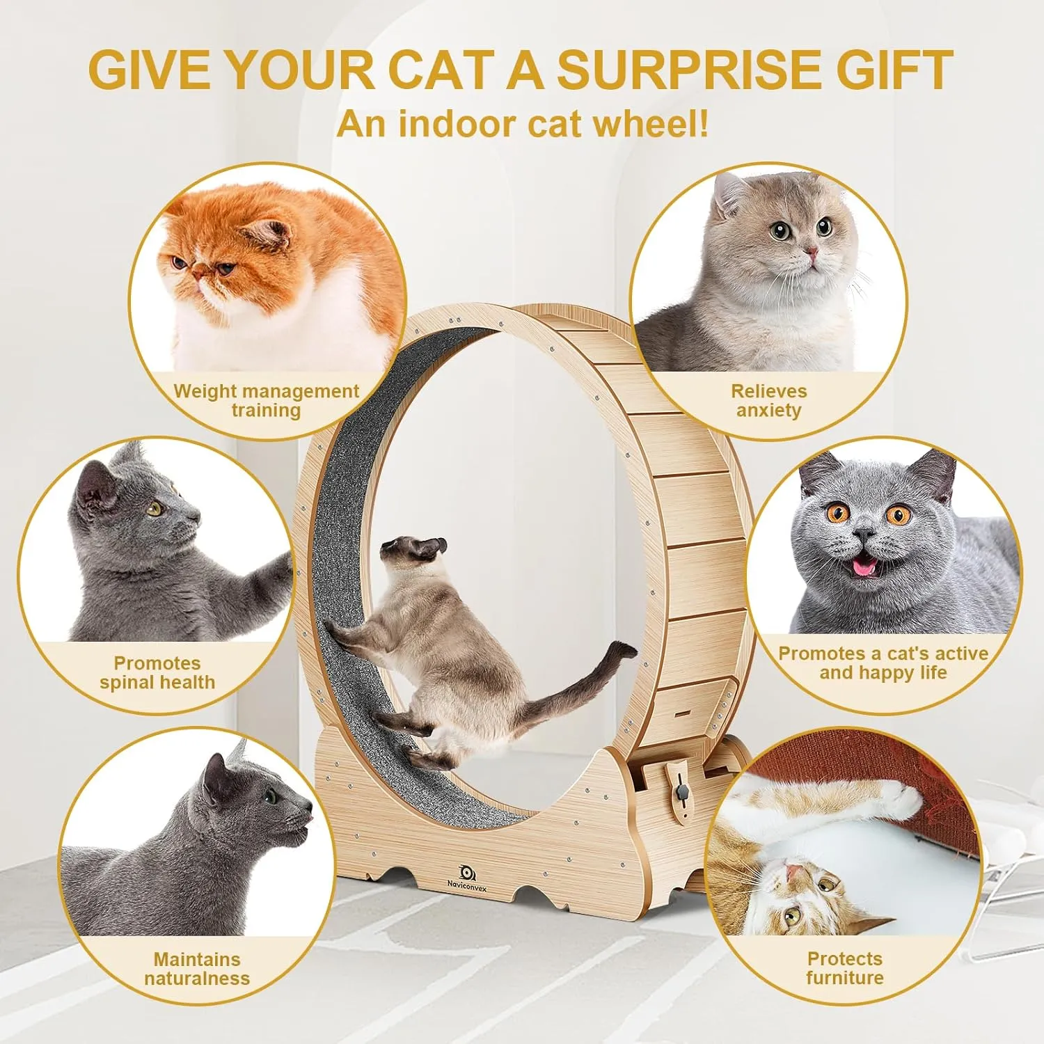 Cat Wheel, 43" L Large Cats Exercise Running Wheel, Cat Treadmill for Indoor Cats