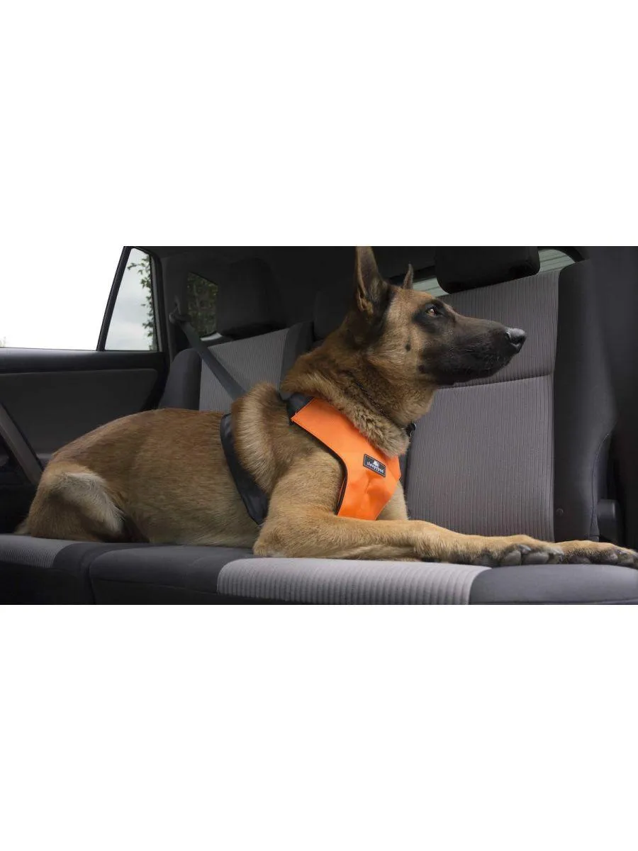 Clickit Sport Harness (Includes harness, S-clip and Buckle Shield) from Sleepypod