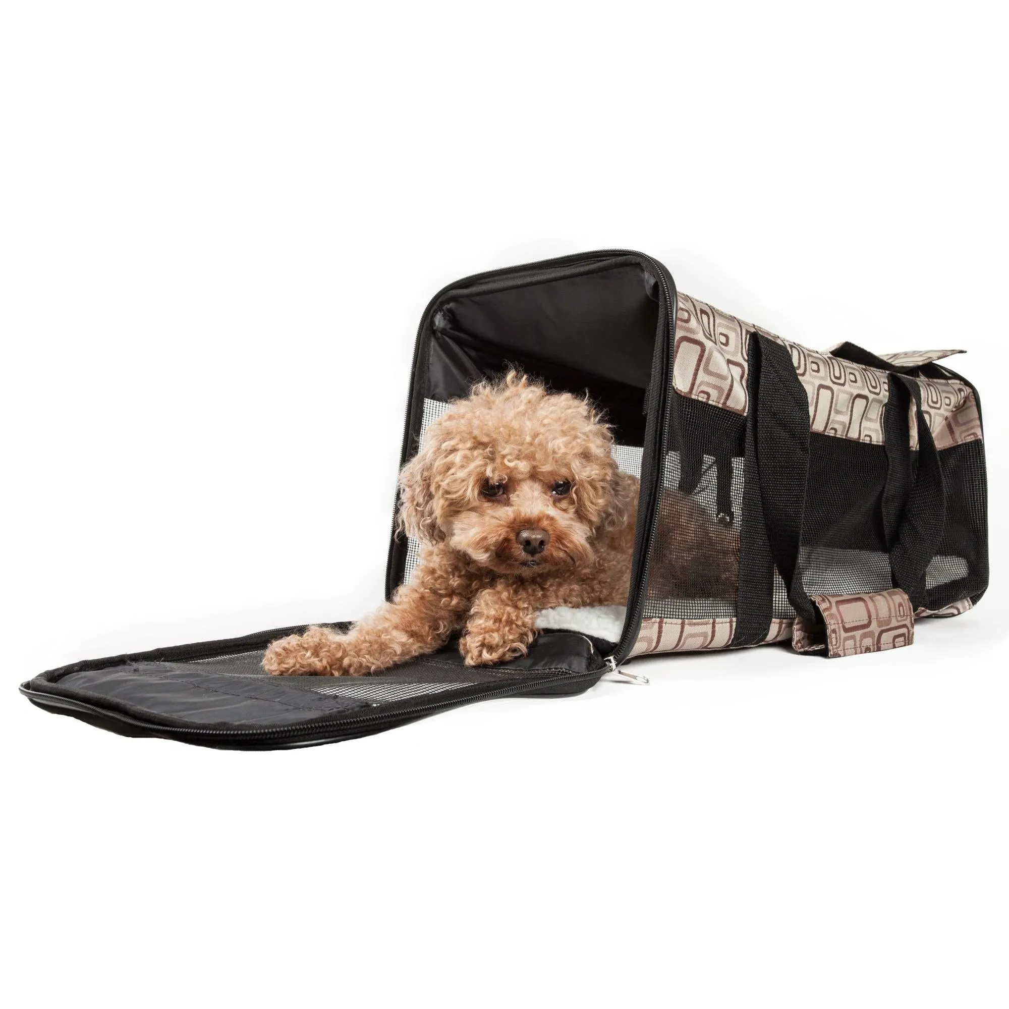 Collapsible pet carrier with leash holder Explorer