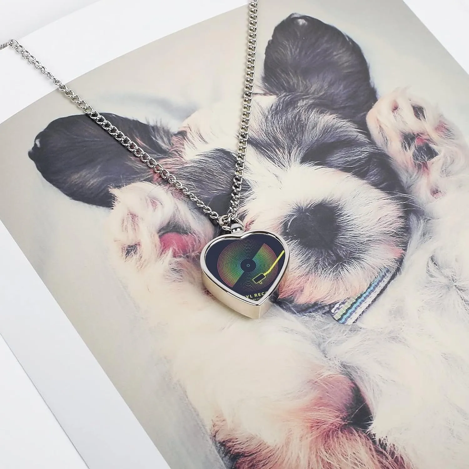 Custom Pet Urn Necklace, Alloy Memorial Pendant Necklace, Dog Pendant Necklace