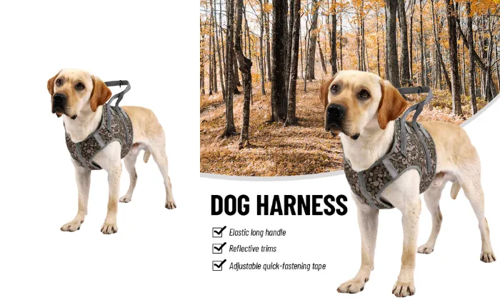 Dog Harness