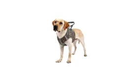 Dog Harness