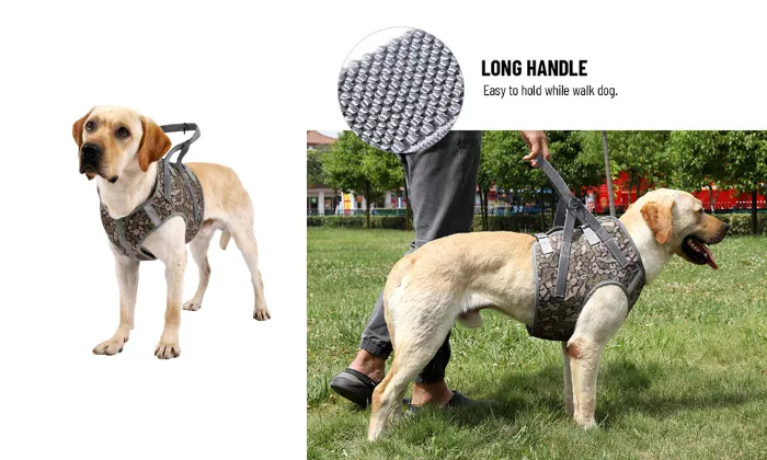 Dog Harness