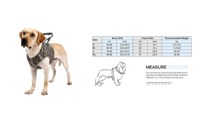 Dog Harness