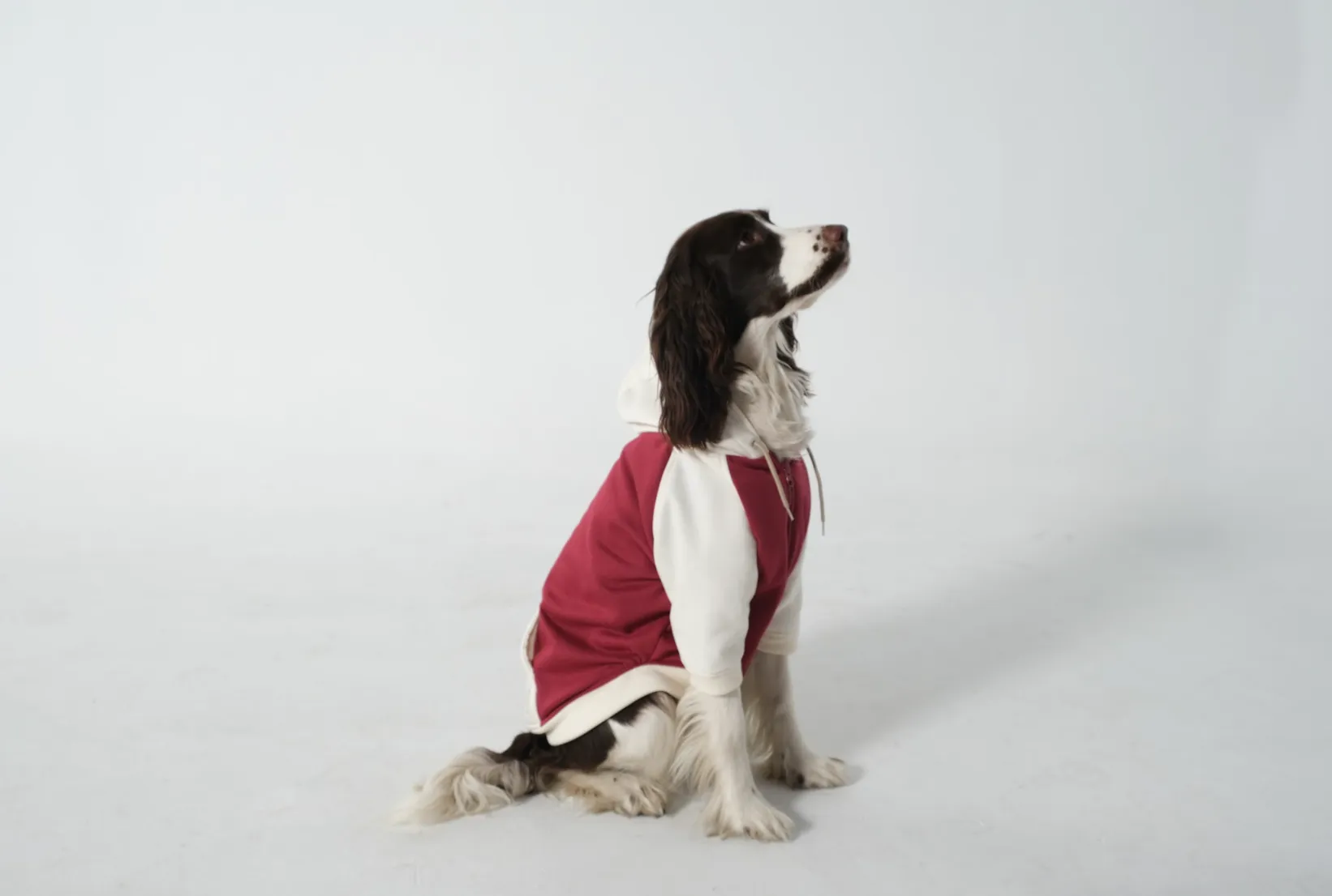 Dog Hoodie Ruby/Beige