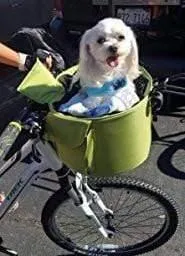 DoggyRide Cocoon Pet Bike Basket - Green (incl. Free ClickFix Bike Connector)