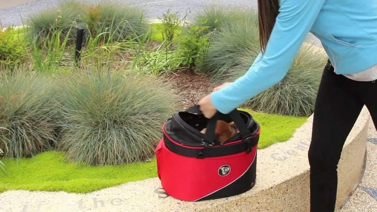 DoggyRide Cocoon Pet Bike Basket - Red (incl. Free ClickFix Bike Connector)
