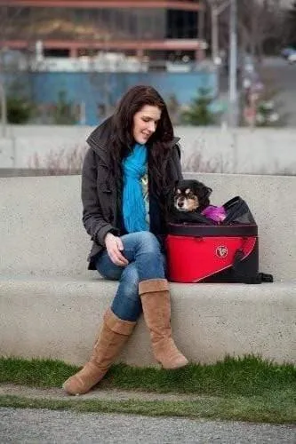 DoggyRide Cocoon Pet Bike Basket - Red (incl. Free ClickFix Bike Connector)