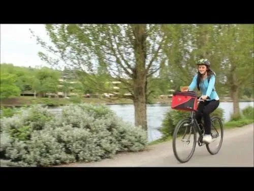 DoggyRide Cocoon Pet Bike Basket - Red (incl. Free ClickFix Bike Connector)