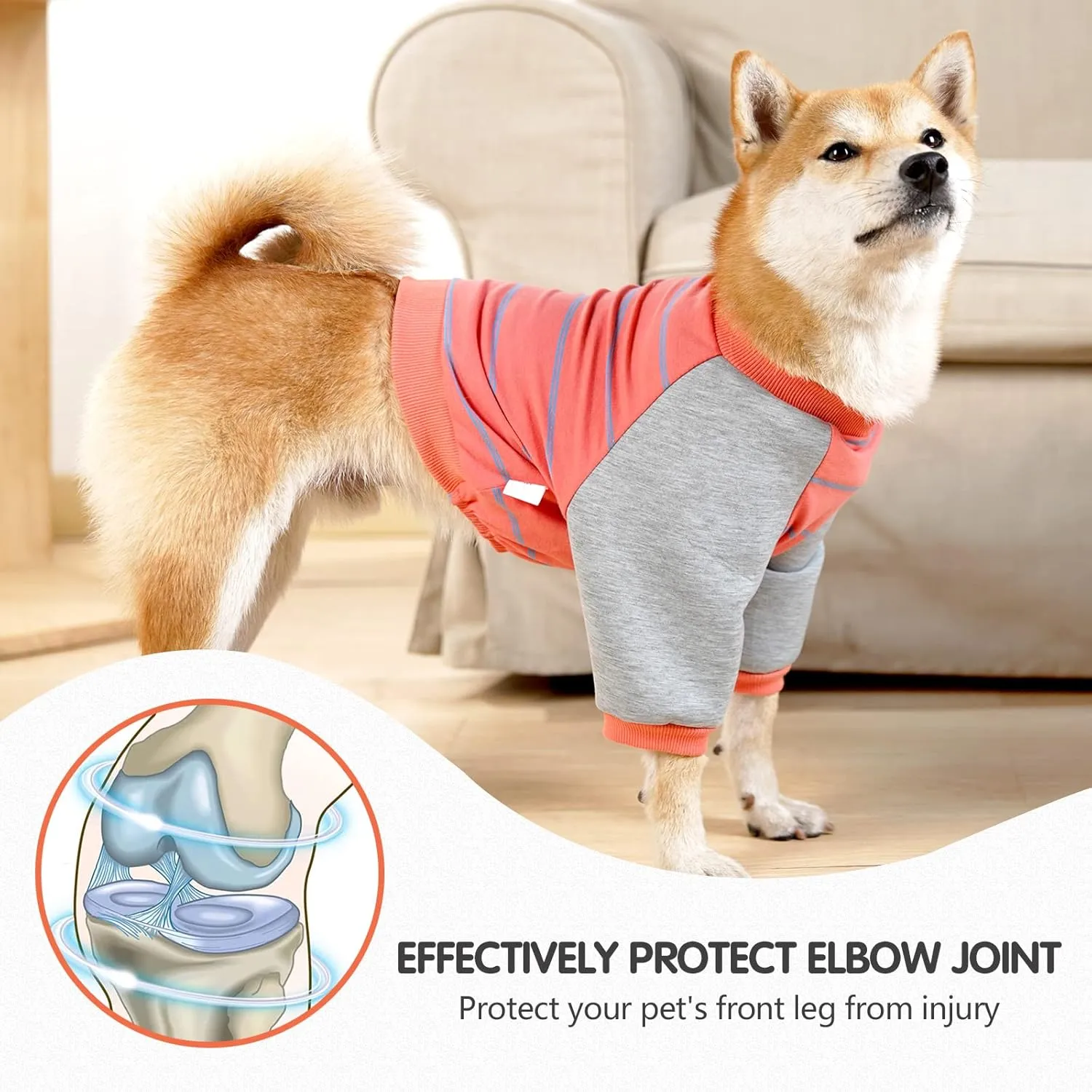 GabeFish Anti-Licking Dog & Cat Hoodie, OrangeGrey Medium, Cotton/Polyester Blend, Machine Washable, Perfect for Medium Breeds, Winter, Casual Wear