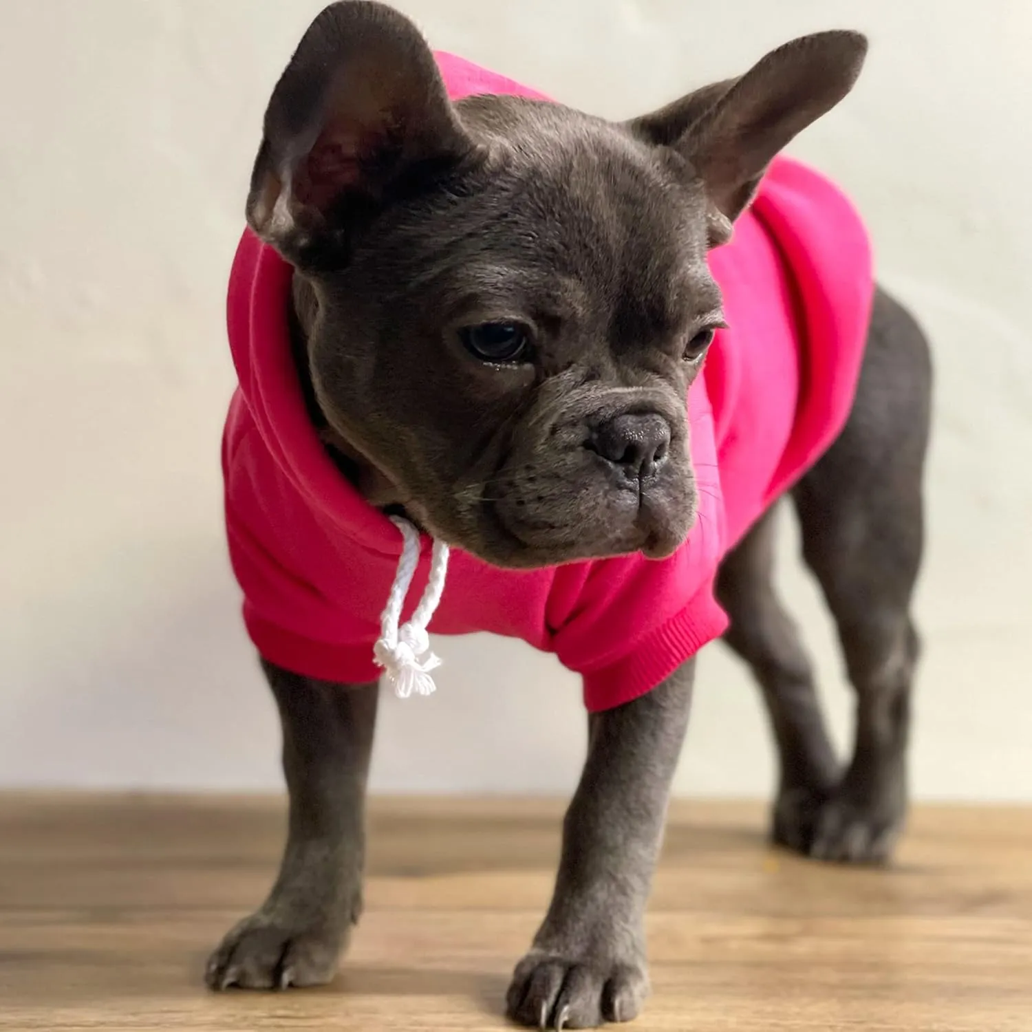 Game Day Football Dog Hoodie Fleece Lined Pullover Sweatshirt with Leash Hole (Hot Pink, X-Small 323)