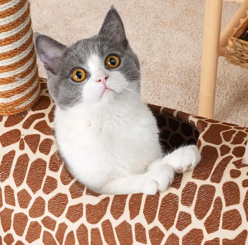 Giraffe Cat Cave and Cat Tree with Scratching Post