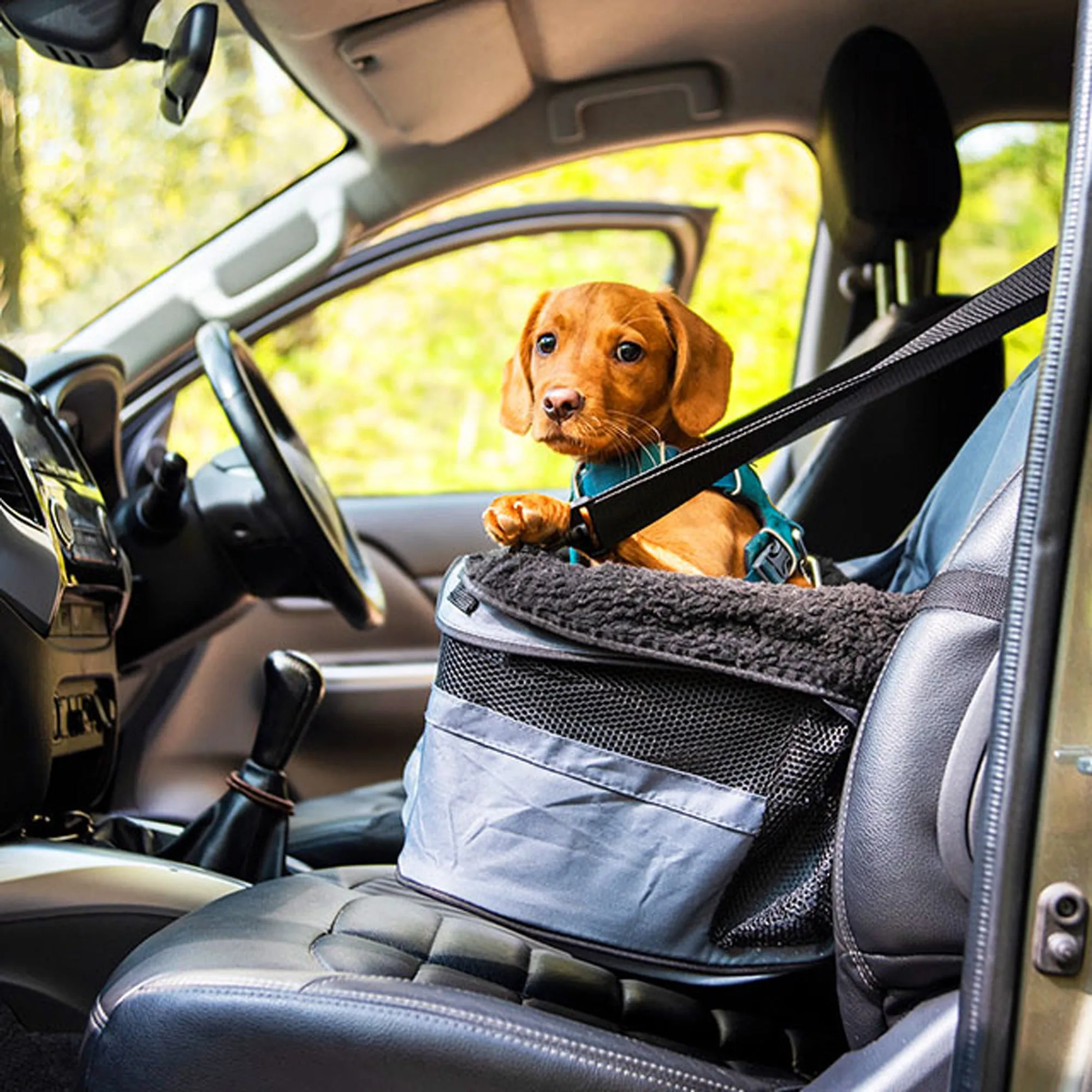 Henry Wag Pet Car Booster Seat