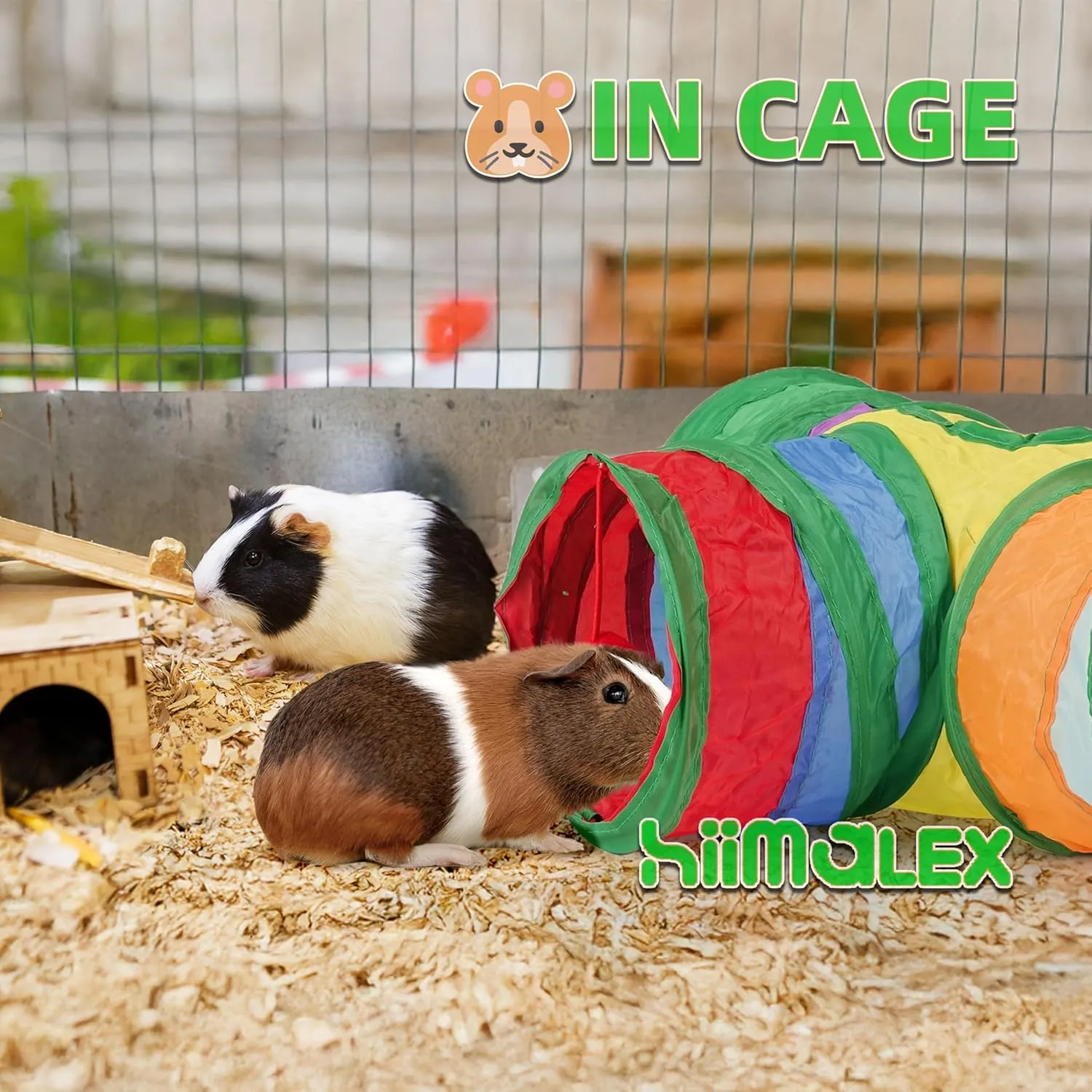 HIIMALEX Guinea Pig Tunnel 3-Way Collapsible Tube for Guinea Pigs Ferrets Hedgehogs Chinchillas Hamsters with Interactive Toy for Play and Rest