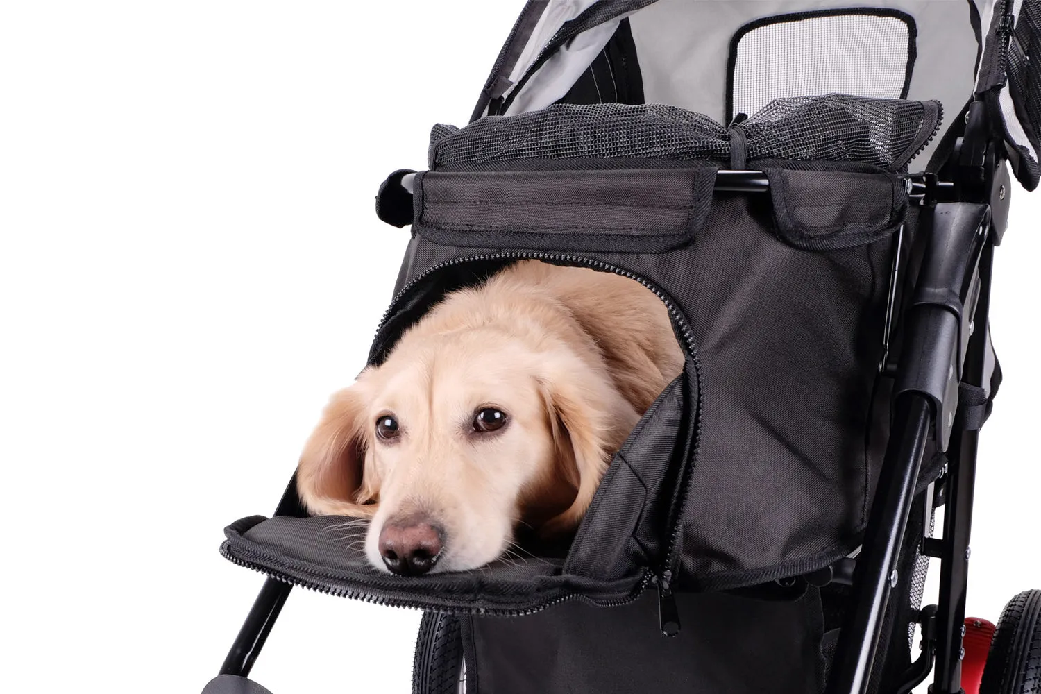 Ibiyaya Turbo Pet Jogger (Black)