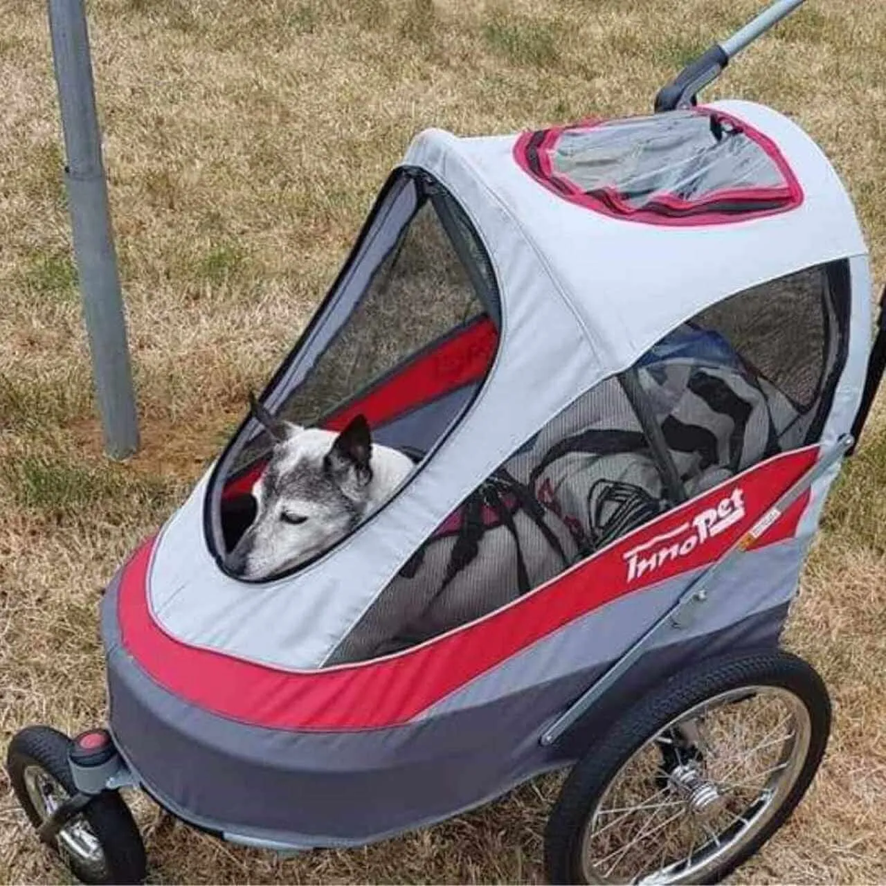 InnoPet Dog Stroller Leash Set of 3