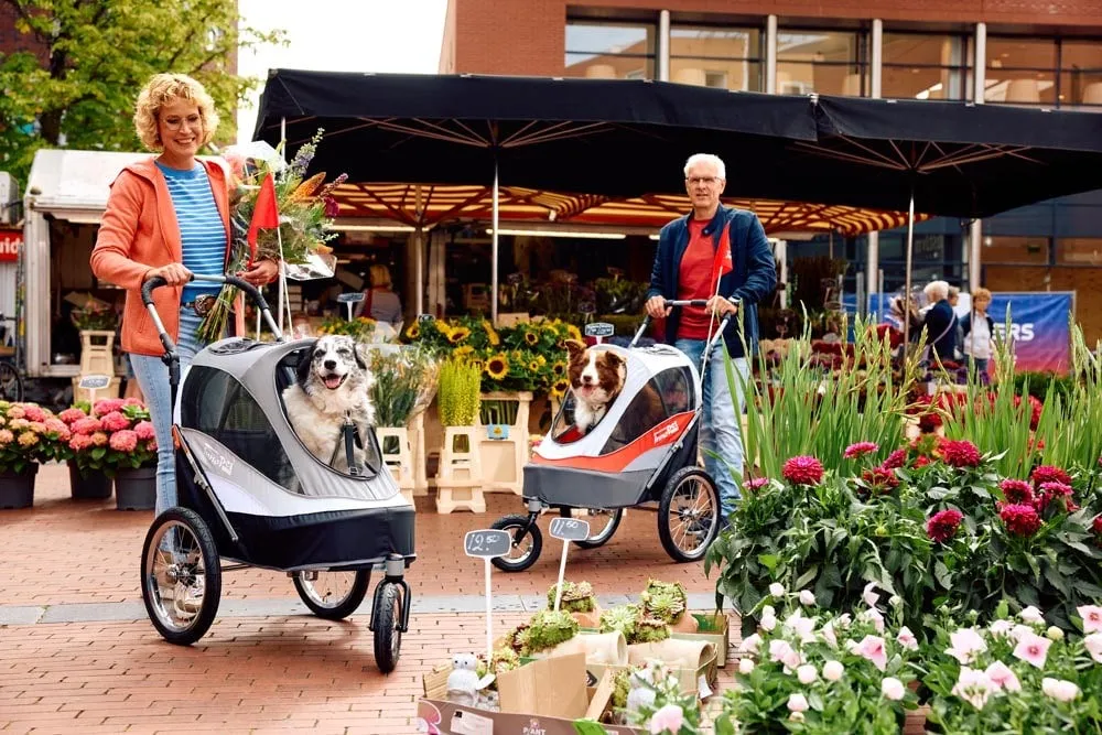 InnoPet Dog Stroller Leash Set of 3