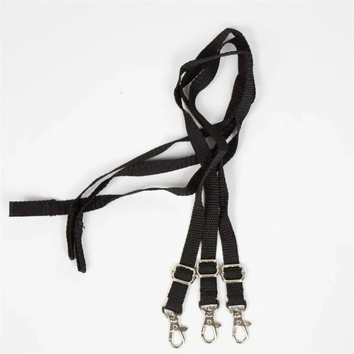 InnoPet Dog Stroller Leash Set of 3