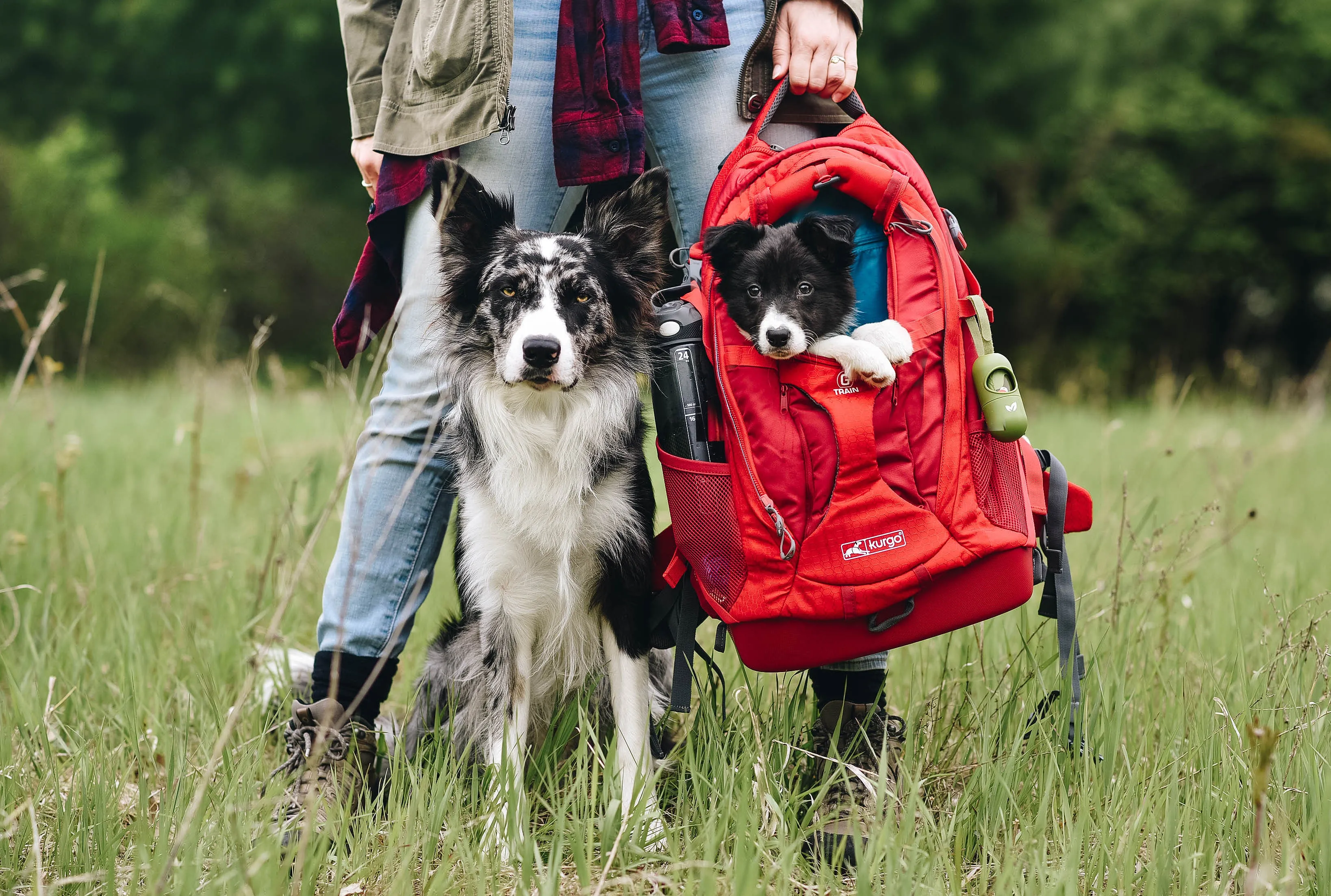 Kurgo G-Train Dog Carrier Backpack