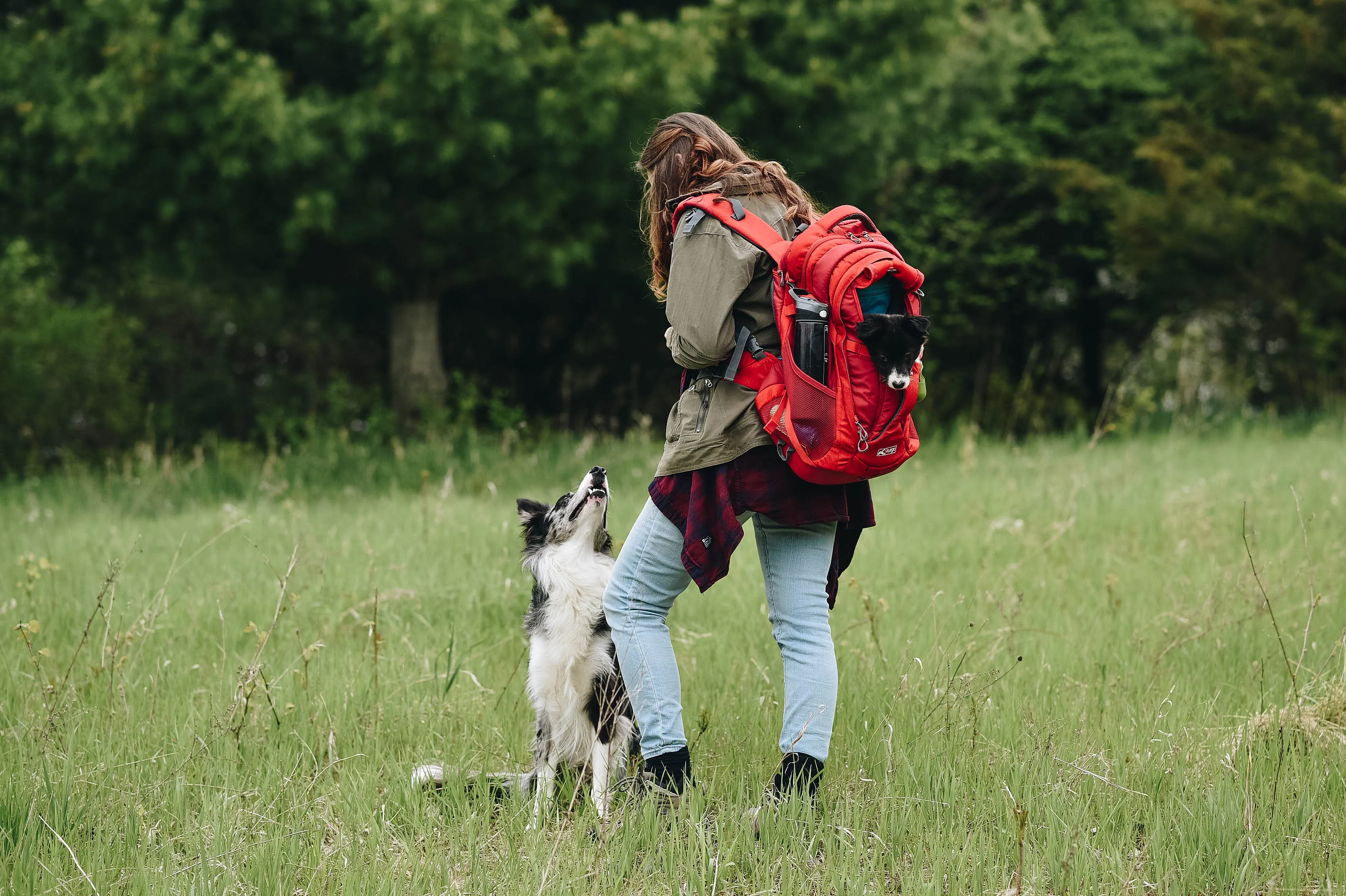 Kurgo G-Train Dog Carrier Backpack