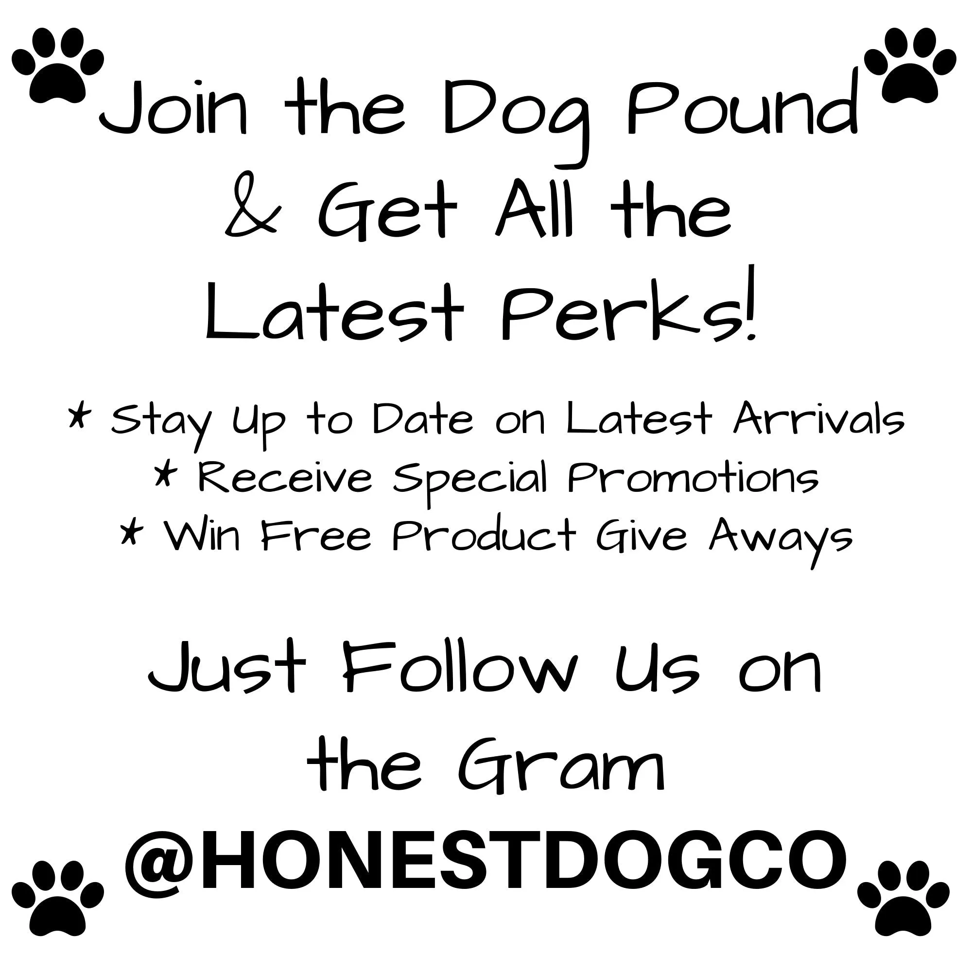 Let's Get Basted Pet Hoodie