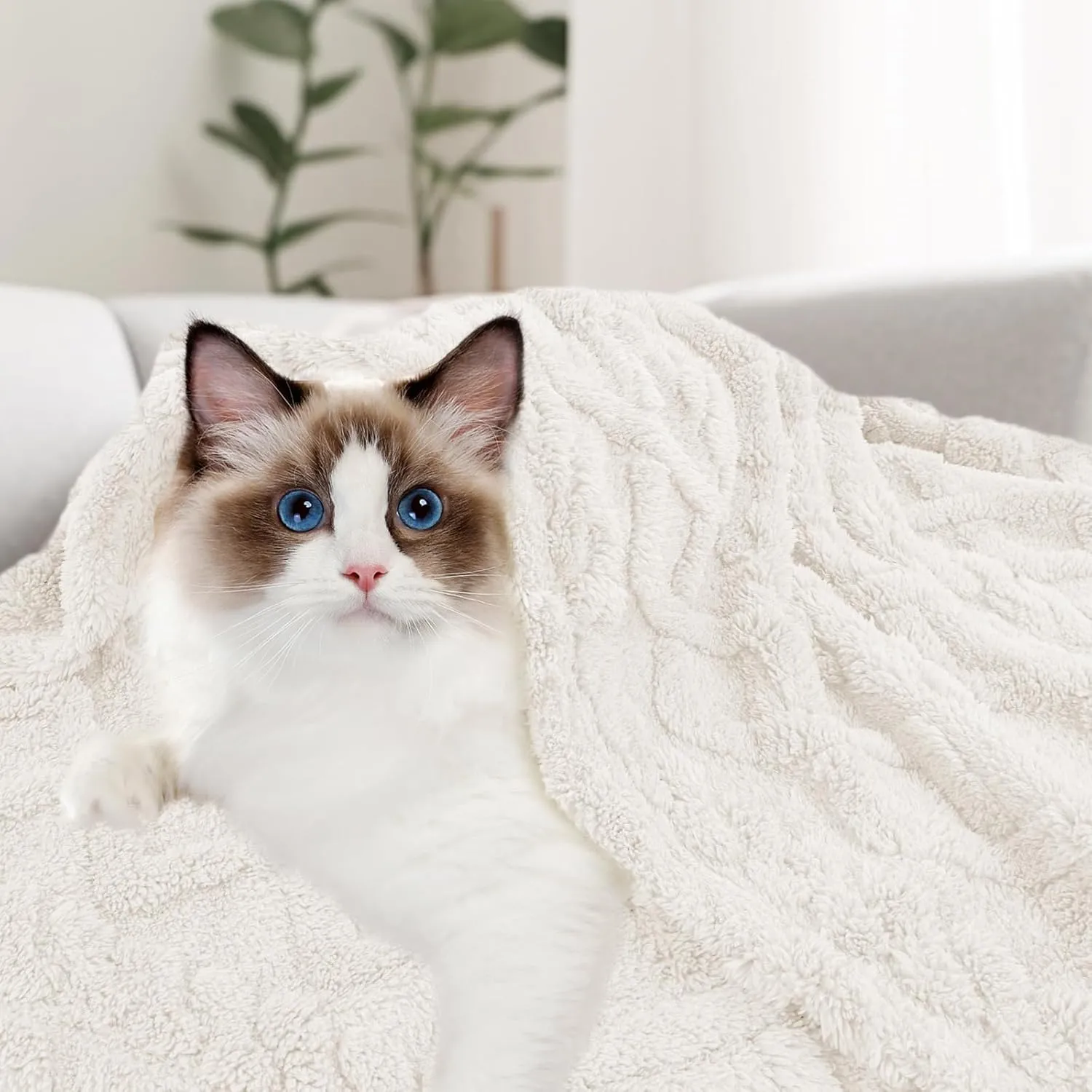 MACEVIA Fluffy Fleece Dog Blankets, Warm Soft Fuzzy Pets Blanket for Puppy, Small, Medium, Large Dogs and Cats, Plush Pet Throws for Bed, Couch, Sofa, Travel (24x29 Inch,Beige)