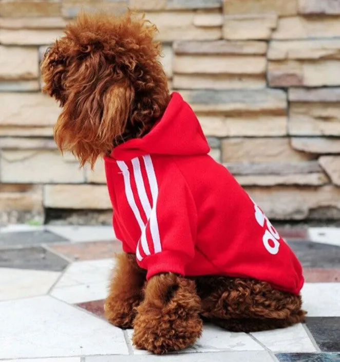 New Spring Fashion Dog Clothes Cat Pet Hoodie Coat Sportwear Cotton Sweater Outfit Clothing for Small Dogs