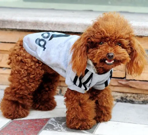 New Spring Fashion Dog Clothes Cat Pet Hoodie Coat Sportwear Cotton Sweater Outfit Clothing for Small Dogs