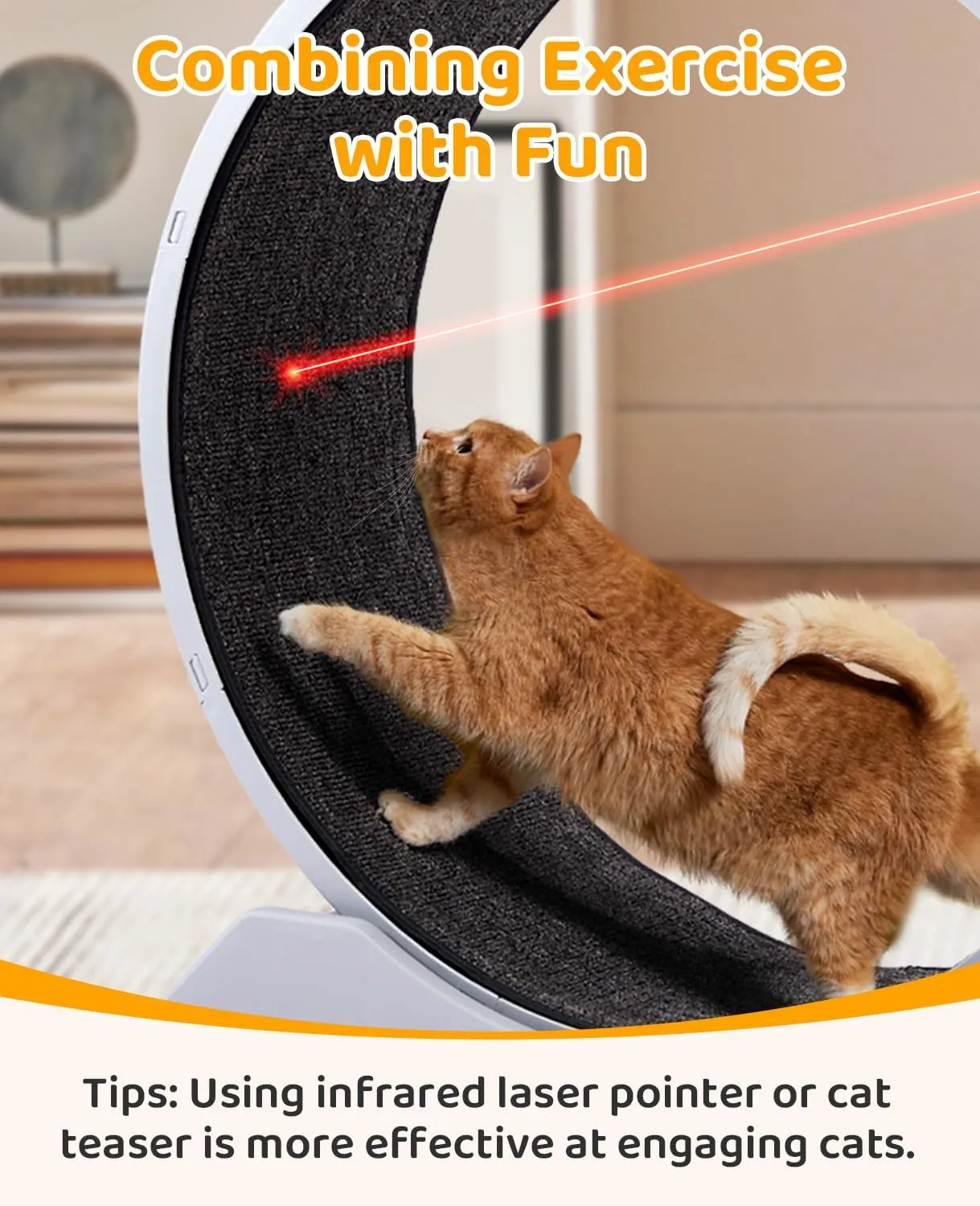 Outvita Cat Wheel, PP Plastic Cat Exercise Wheel for Quiet Running Indoor Use, 31.5" Cat Treadmill with Carpeted Wheel, Cat Exerciser Helps Cats to Lose Weight and Keep Health, Easy to InstallGray