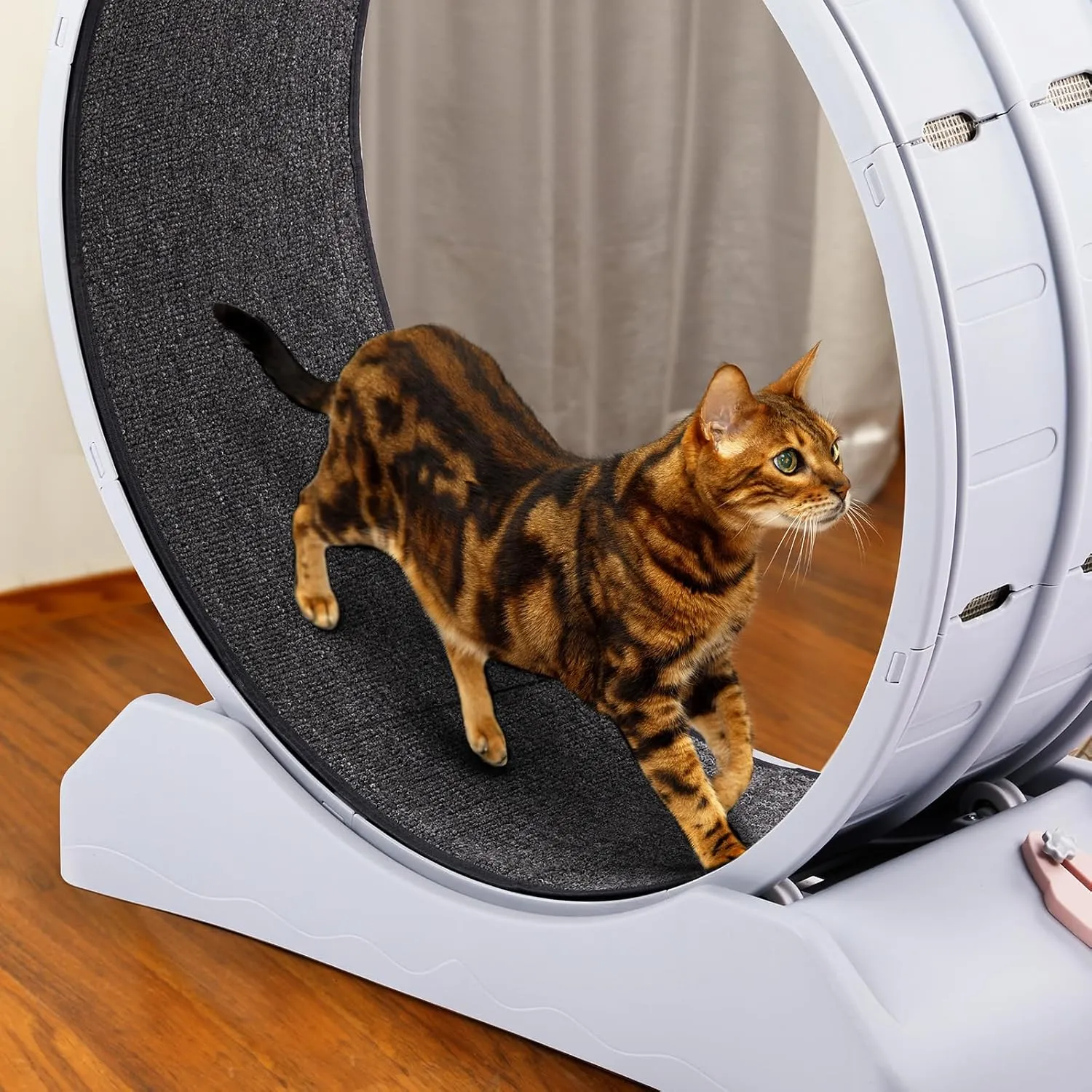 Outvita Cat Wheel, PP Plastic Cat Exercise Wheel for Quiet Running Indoor Use, 31.5" Cat Treadmill with Carpeted Wheel, Cat Exerciser Helps Cats to Lose Weight and Keep Health, Easy to InstallGray