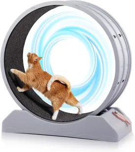 Outvita Cat Wheel, PP Plastic Cat Exercise Wheel for Quiet Running Indoor Use, 31.5" Cat Treadmill with Carpeted Wheel, Cat Exerciser Helps Cats to Lose Weight and Keep Health, Easy to InstallGray