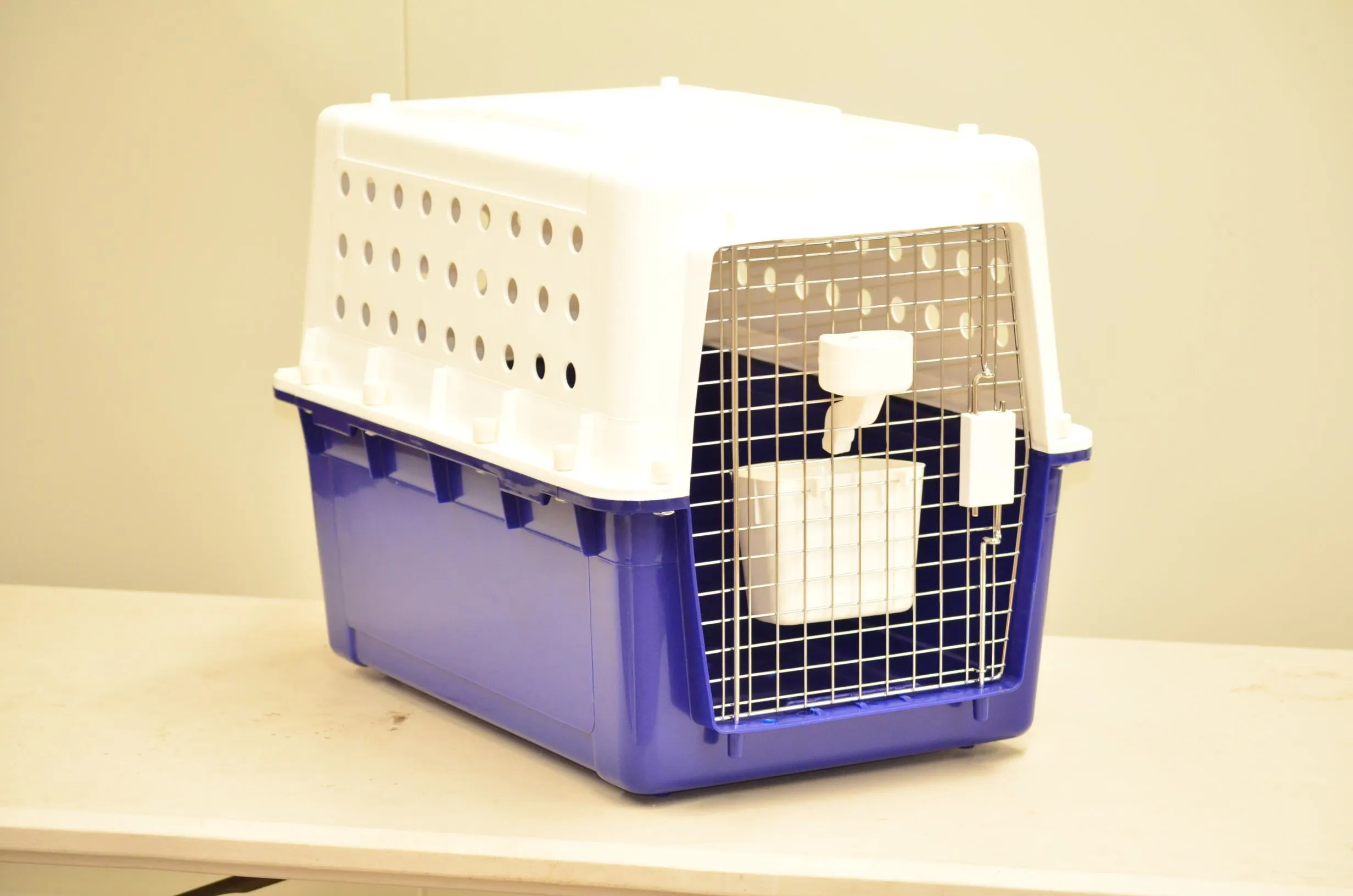 Pet Carrier
