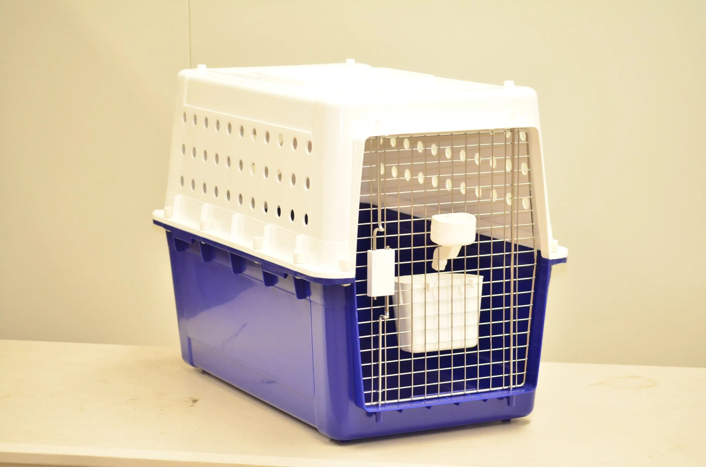 Pet Carrier