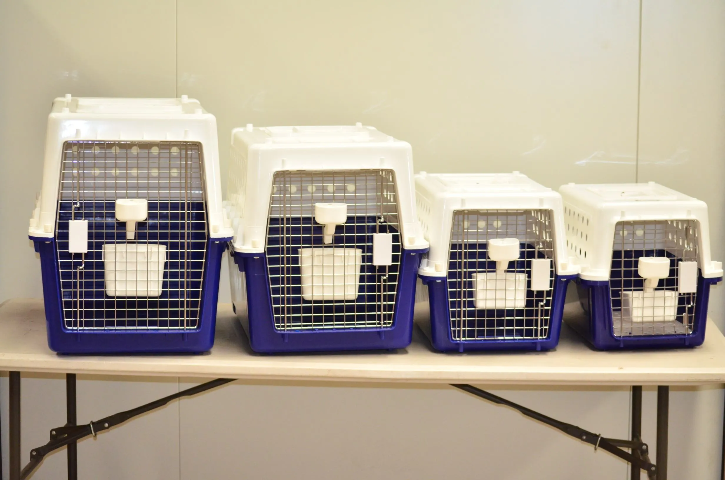 Pet Carrier