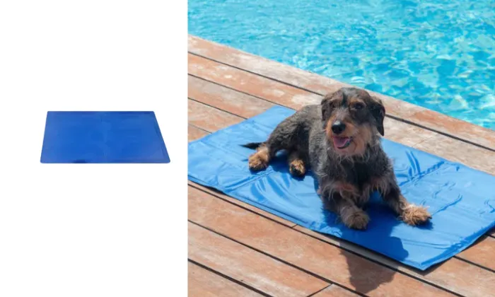 Pet Cooling Mat - Rex