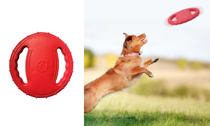 Pet Dog Flying Disc