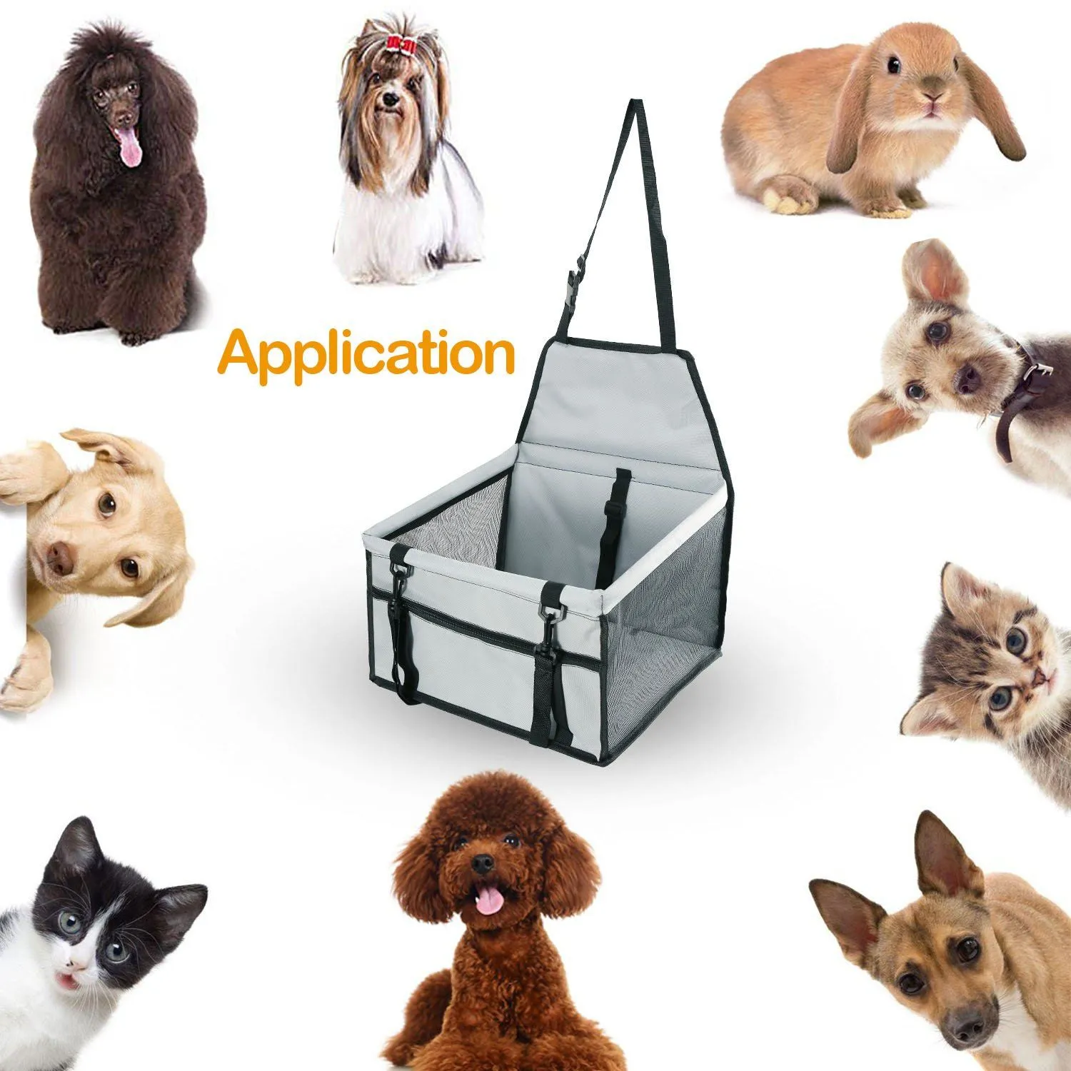 Pet Travel Carrier with Clip-On Safety Leash Zipper Storage Pocket for Pets up to 20lbs