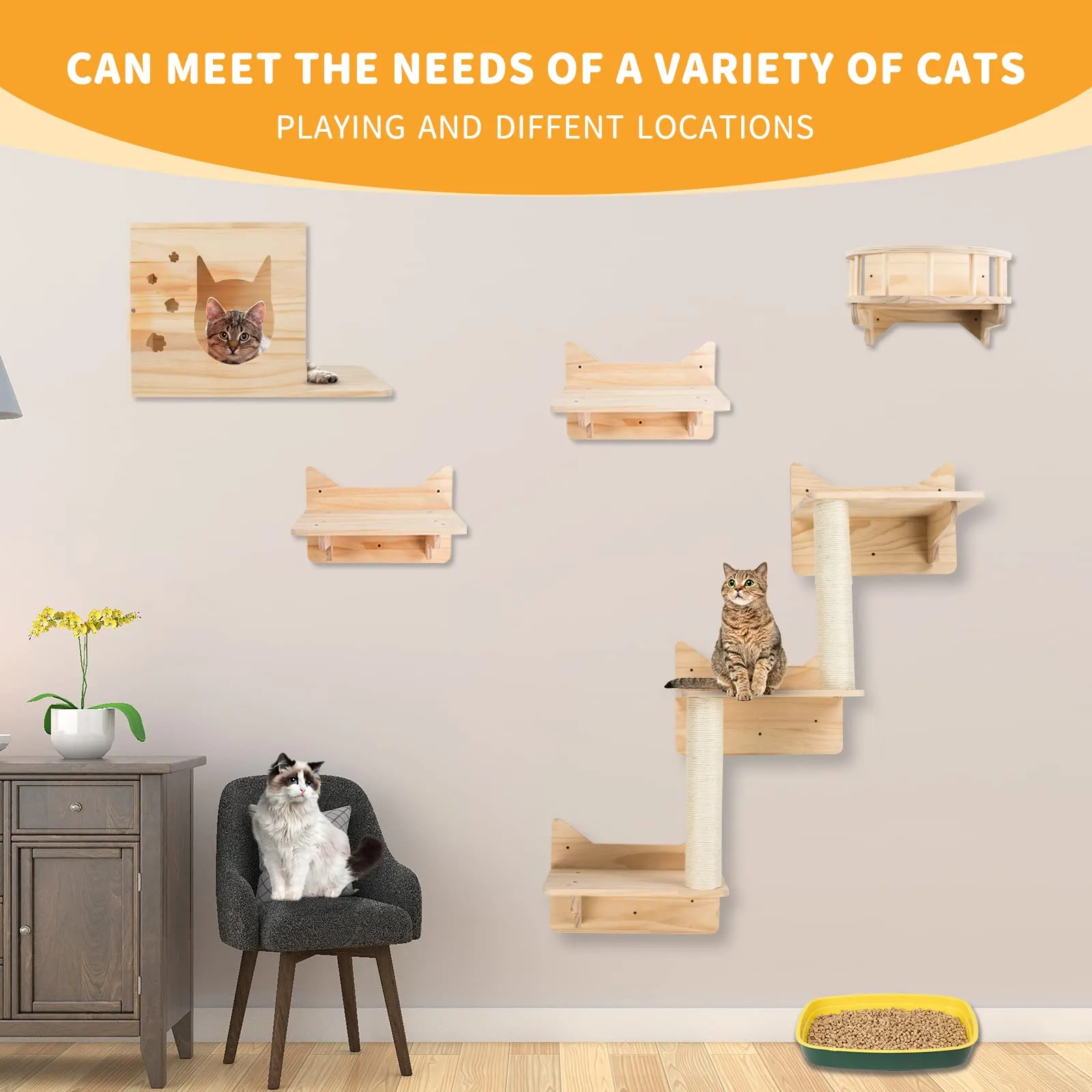 Pine Cat Wall Frame for Climbing, Set of 5 Furniture, Shelves and Perches, House, Sisal Post Ladder, Steps and Travel Platform